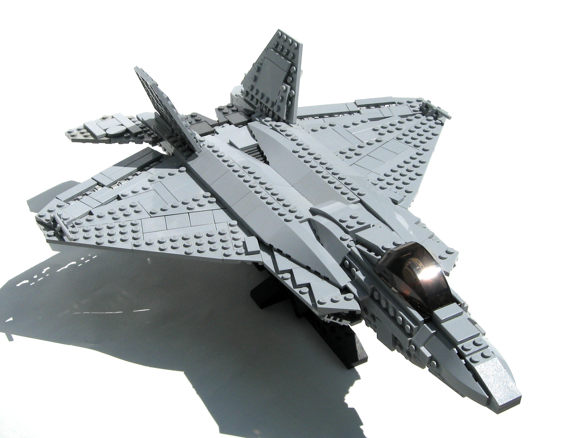 raptor-11.jpg
