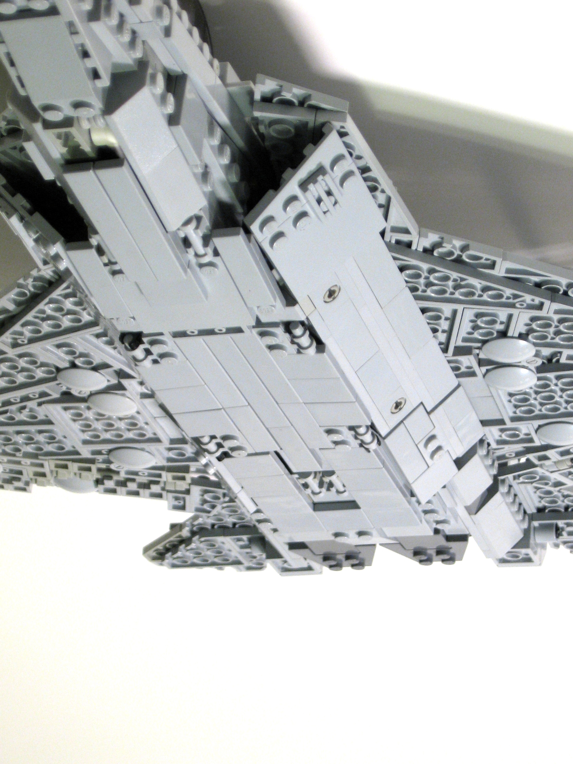 raptor-13.jpg