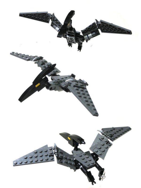 pteranodon.jpg