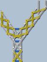 angled-picture.jpg