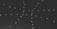 sp02_l4x_st8_02h_s3_teaser2.jpg