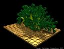 tree_b21.jpg