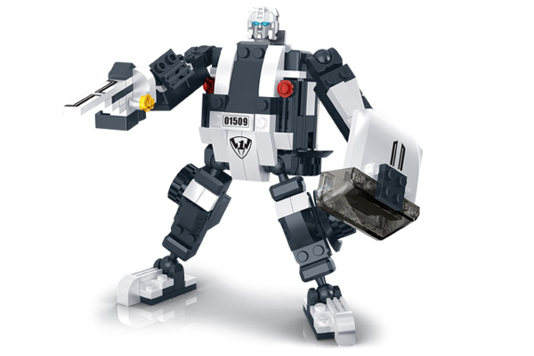 81509-2.jpg