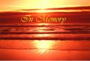 inmemory.jpg