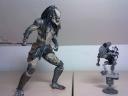201207191384.jpg