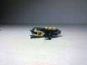201208252055.jpg