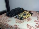 201302172235.jpg