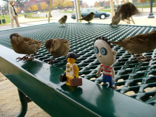 todd-and-missy-have-lunch-with-the-birds.jpg
