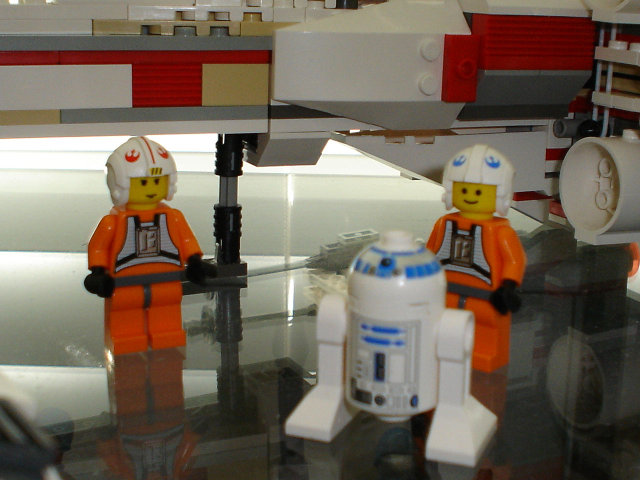 r2.jpg