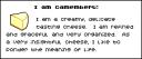 camembert03.gif