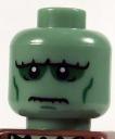 frankenstein_head.jpg