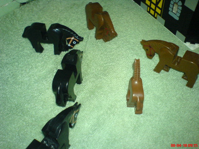 dsc02075.jpg