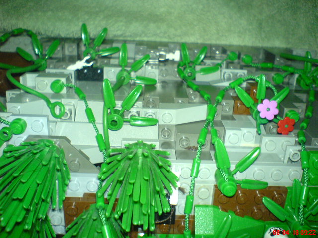 dsc02100.jpg