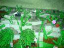 dsc02100.jpg