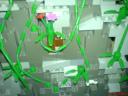 dsc02101.jpg