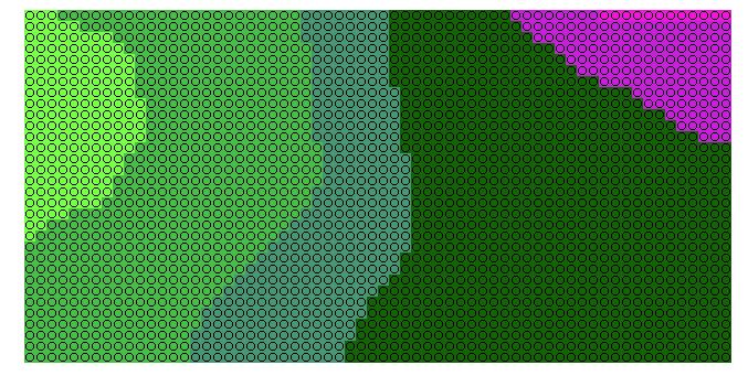 misiekc10c11.jpg