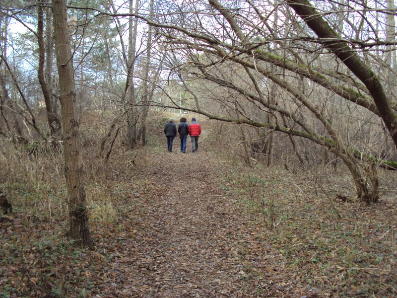 dsc00866.jpg