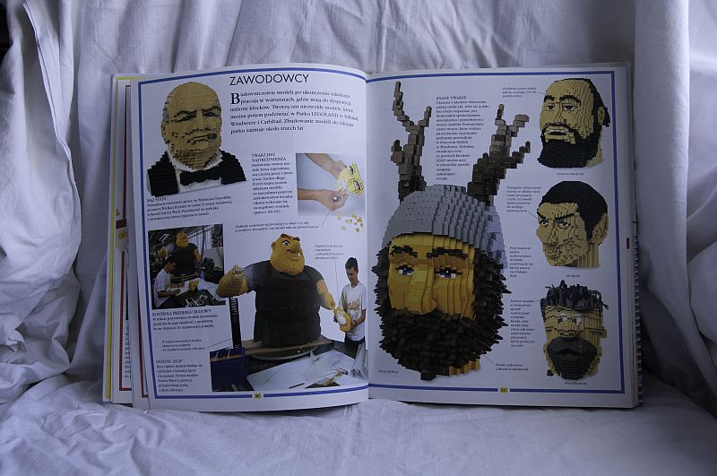 book5.jpg