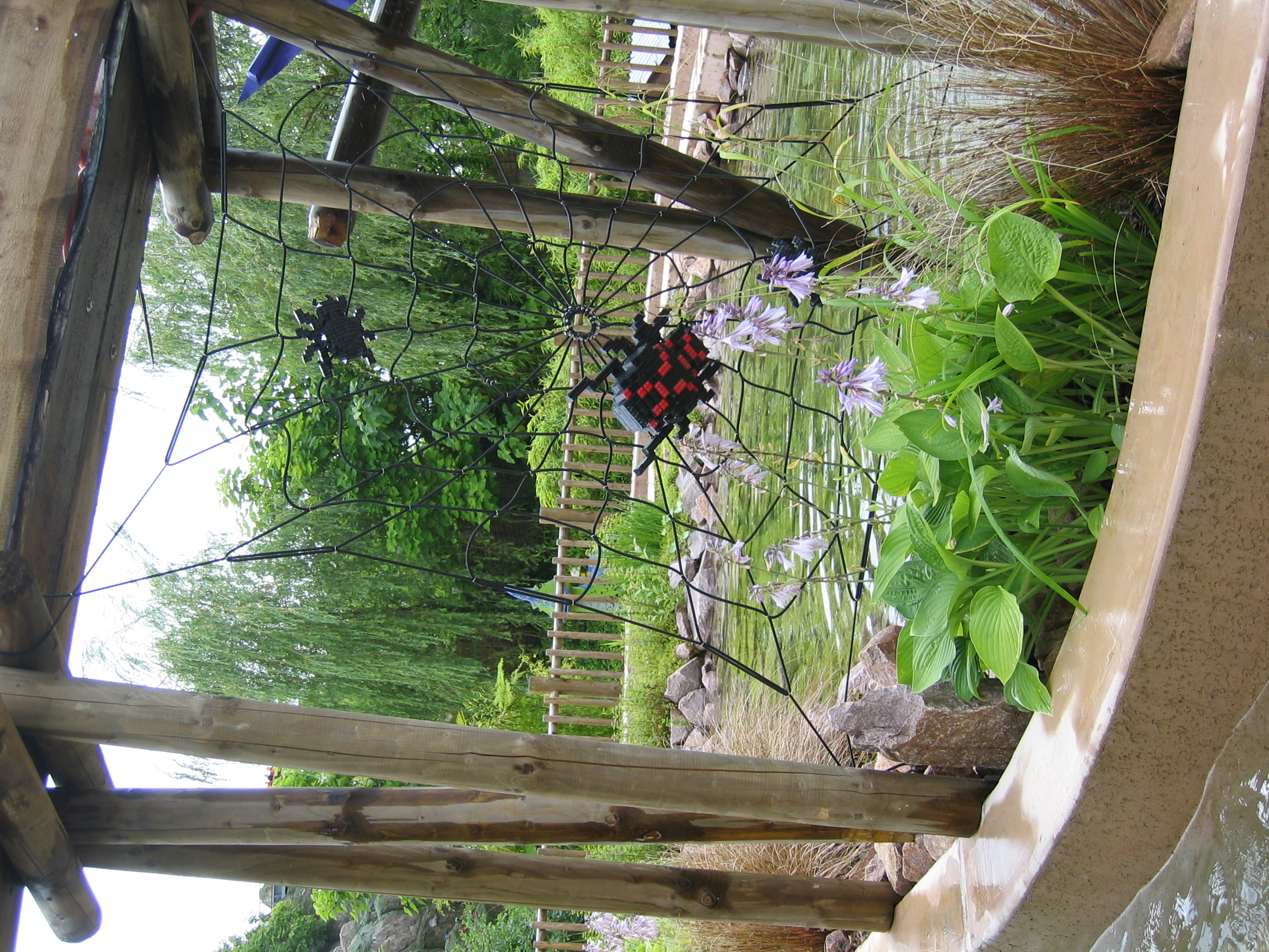 picture162.jpg