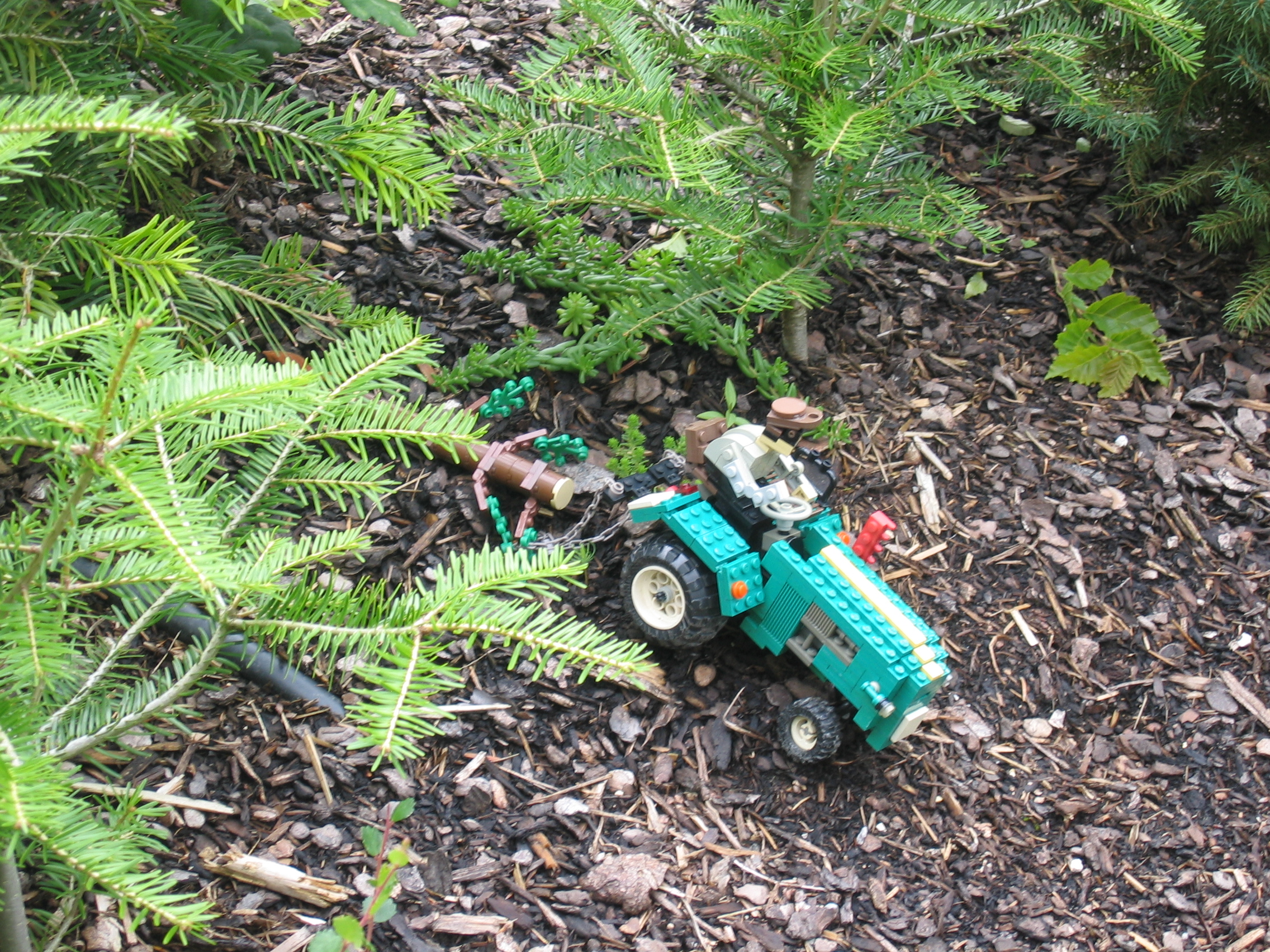 picture221.jpg