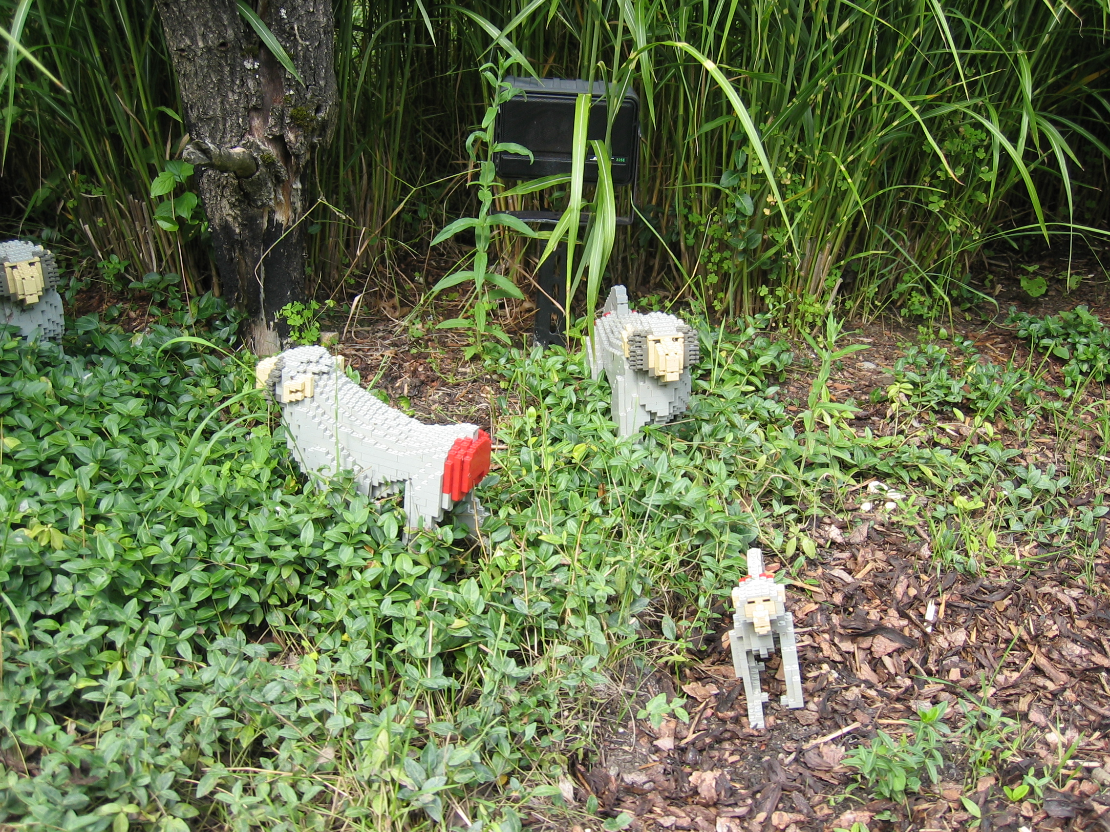 picture306.jpg