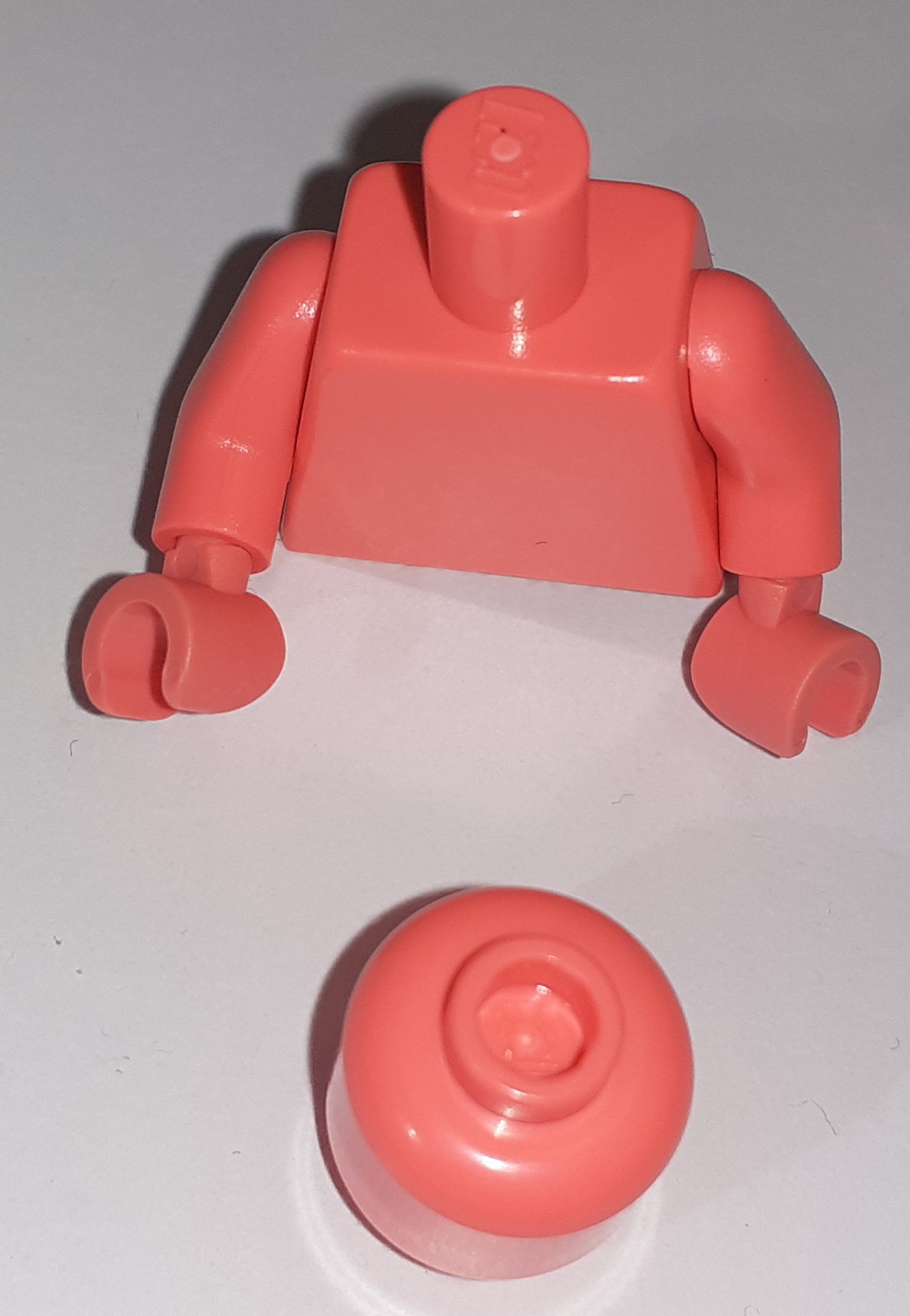 head-torso-2.jpg