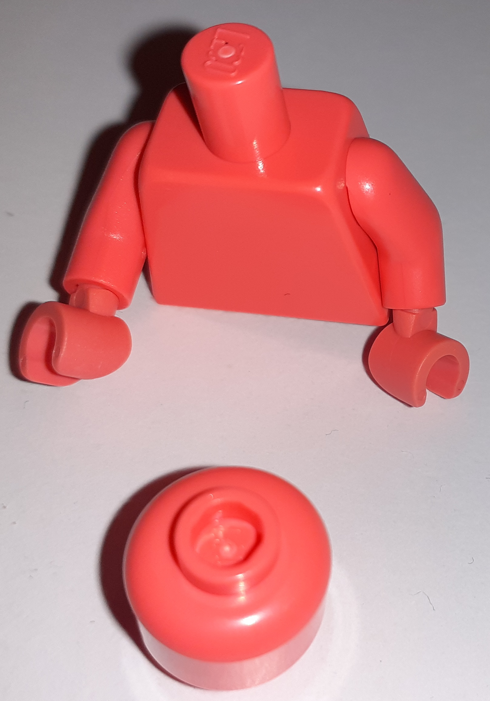 head-torso-3.jpg