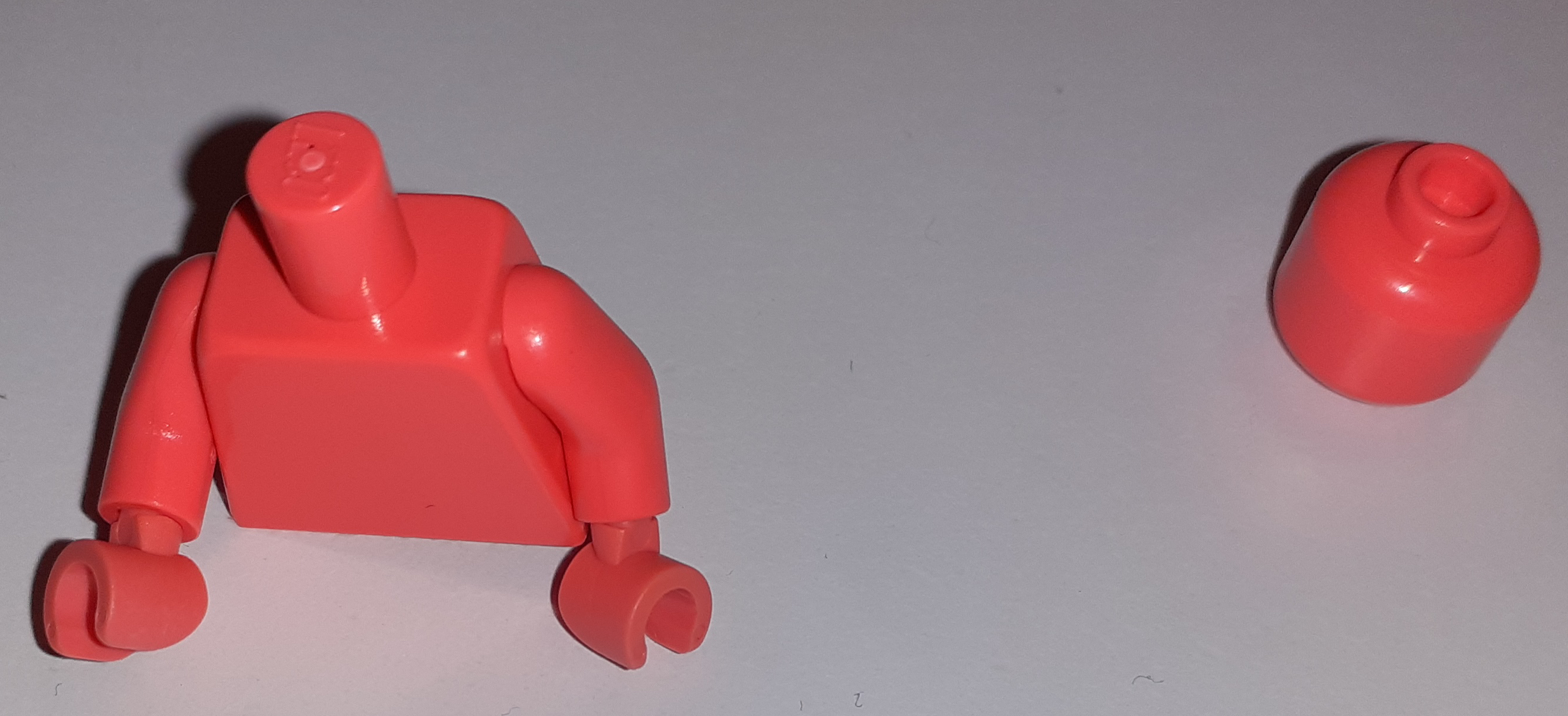 head-torso.jpg