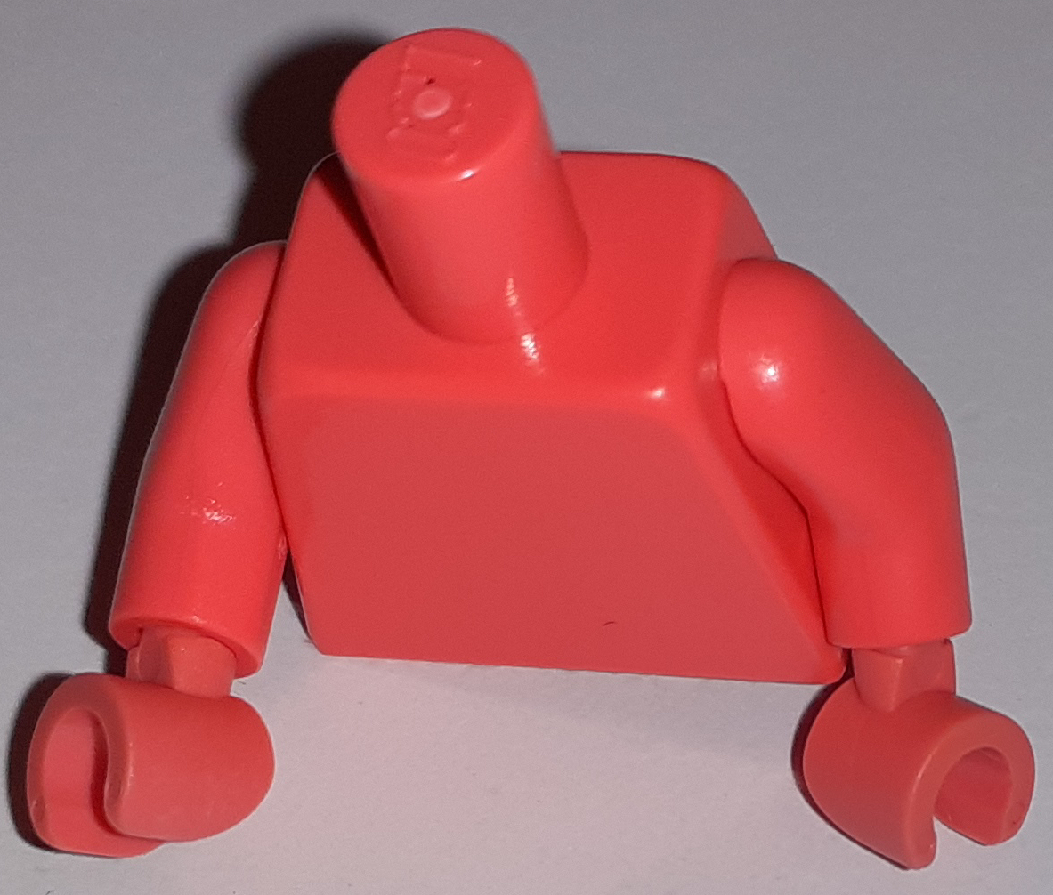 torso.jpg