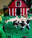 bens_cow.jpg
