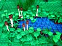pond_der_joe_built_for_me.jpg