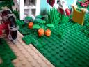 pumpkins.jpg