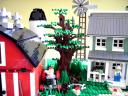 tree.jpg