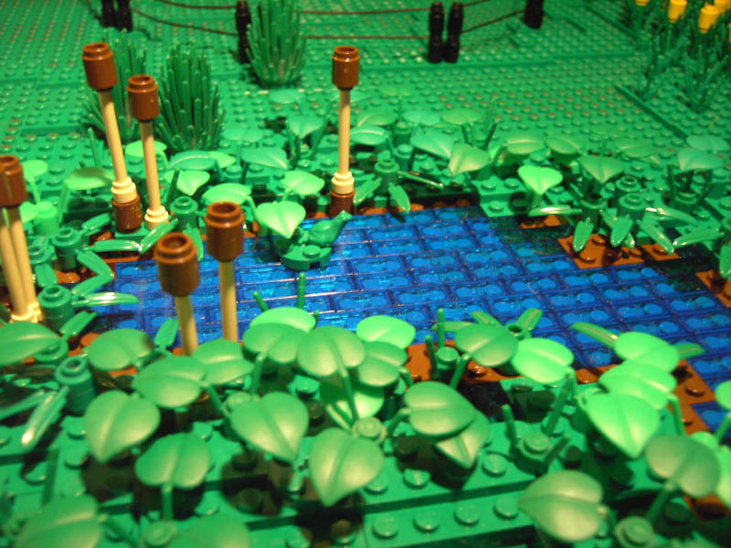 farm05.jpg
