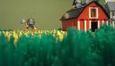 farm013.jpg