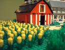 farm02.jpg