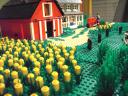 farm09.jpg
