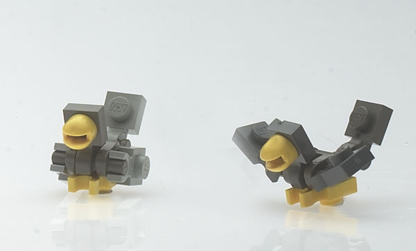 birds.jpg