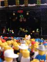 dsc00591.jpg