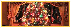 christmas_banner_copy.gif