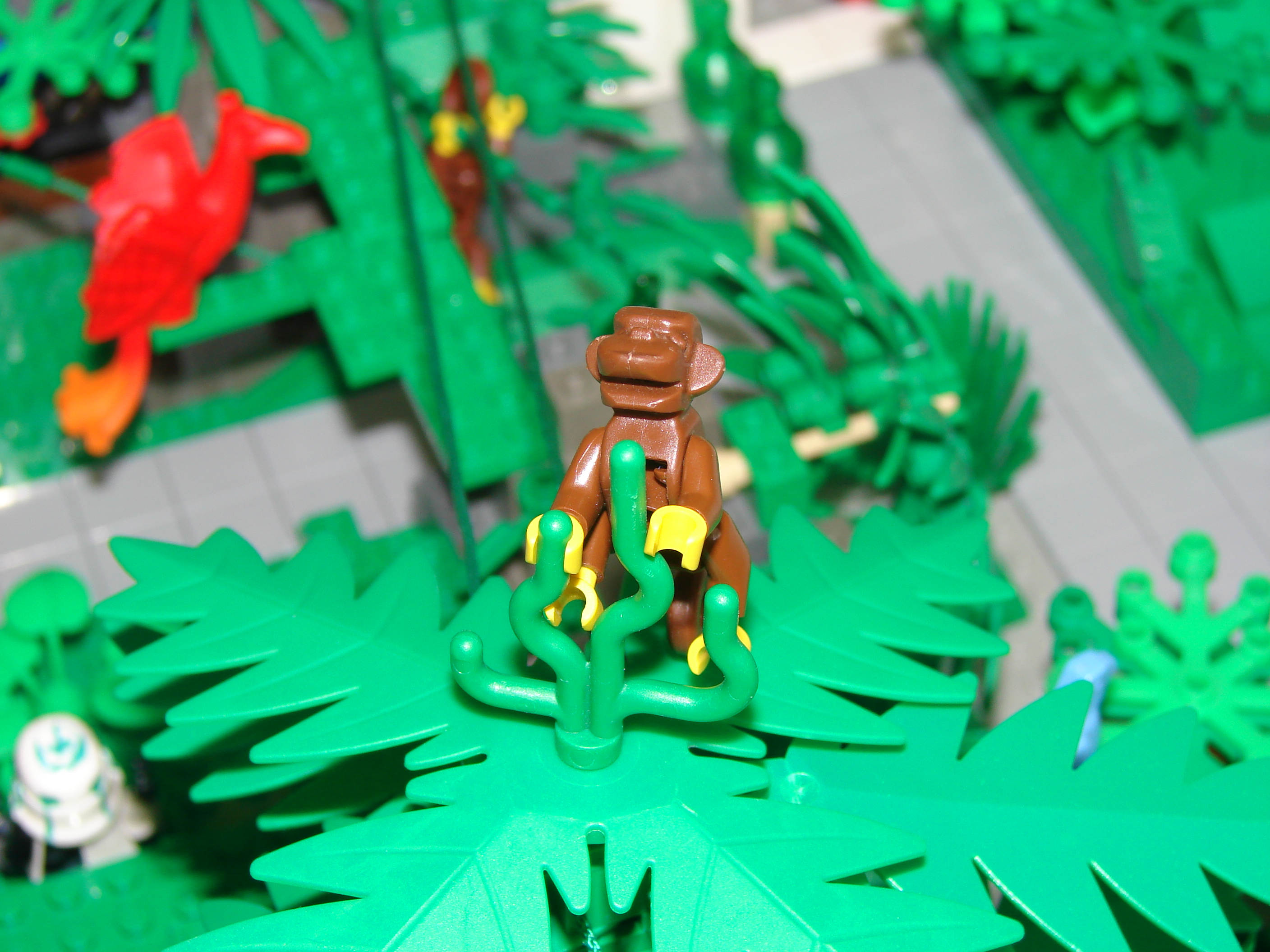 11-12-08_023.jpg