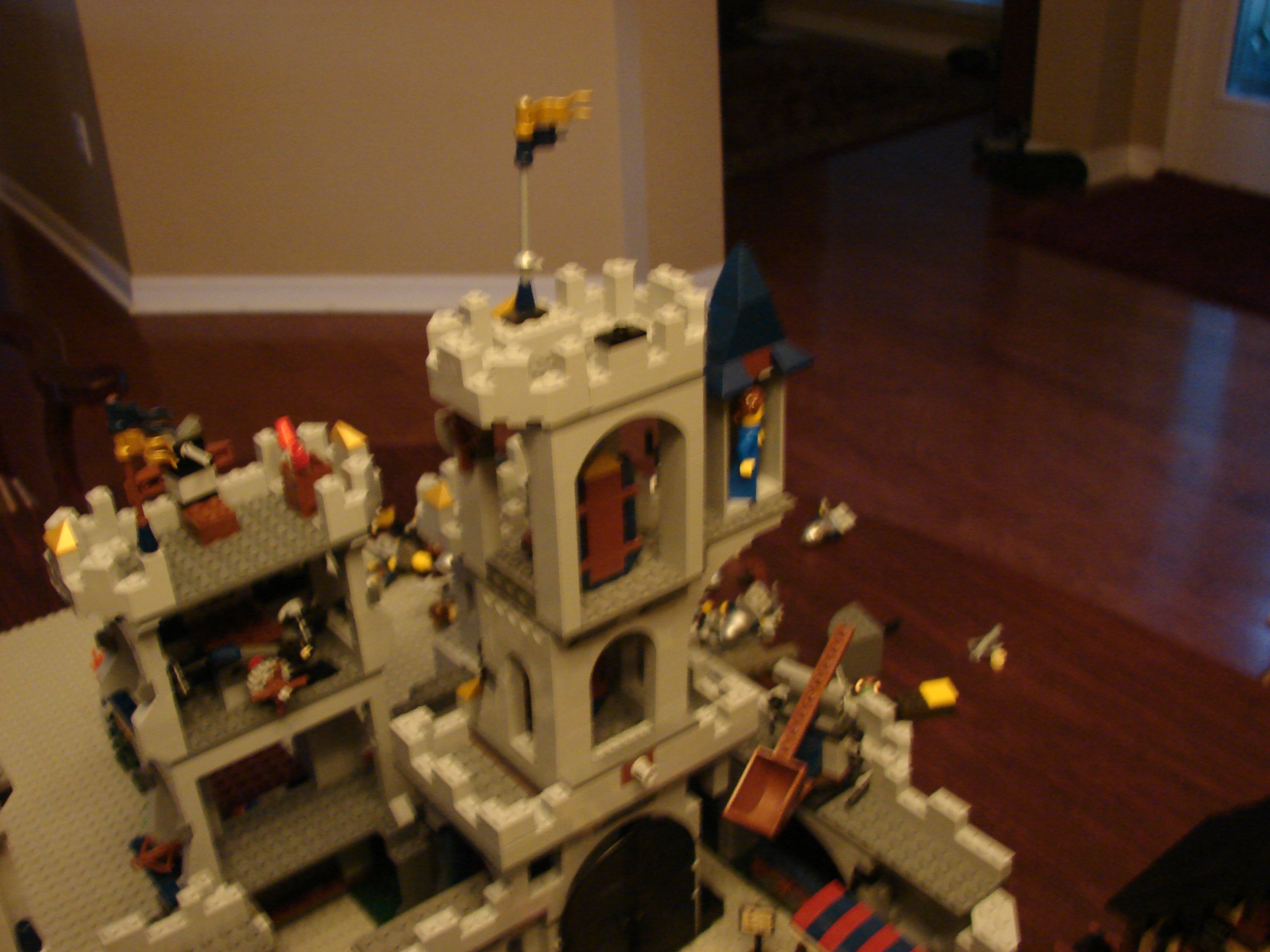 355.jpg