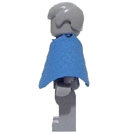 poncho2.jpg