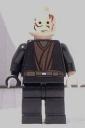 anakinskywalker_rots2.jpg