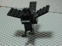 crow05.jpg