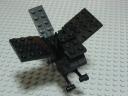 crow06.jpg