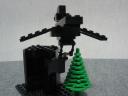 crow2-3.jpg
