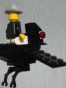 crow2-5.jpg