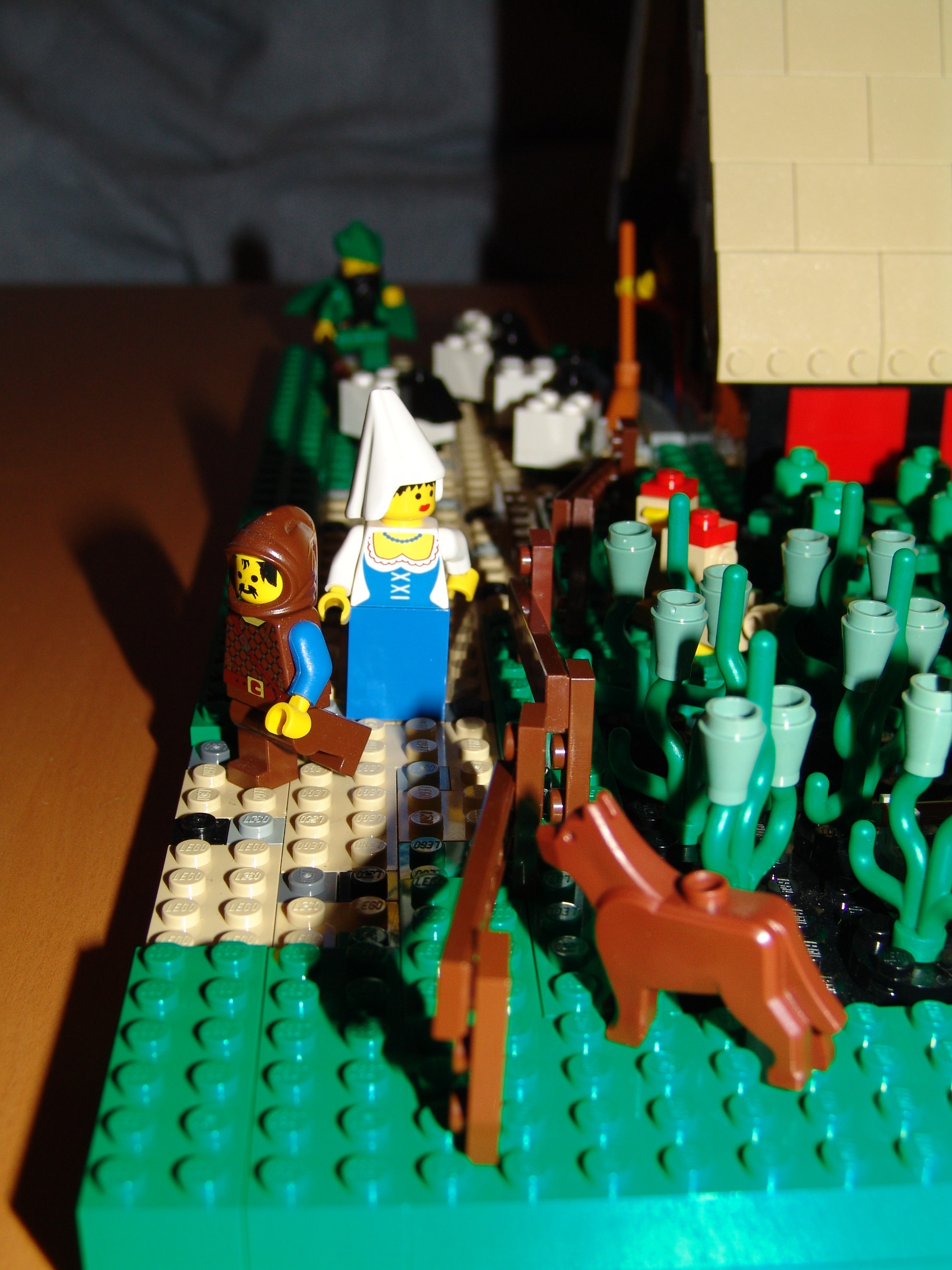 dsc02577.jpg
