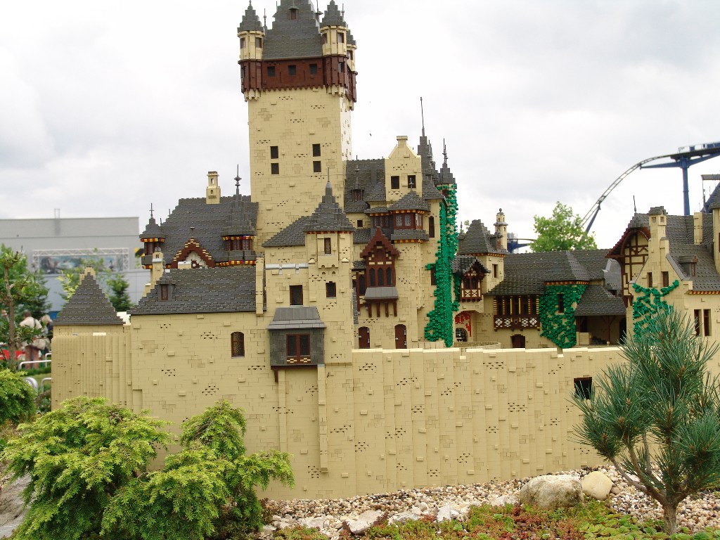 dsc00623.jpg